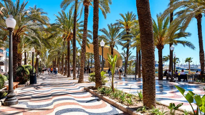 The palm-tree lined Explanada de España