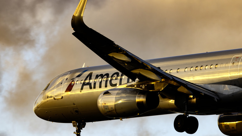 An American Airlines plane at golden hour