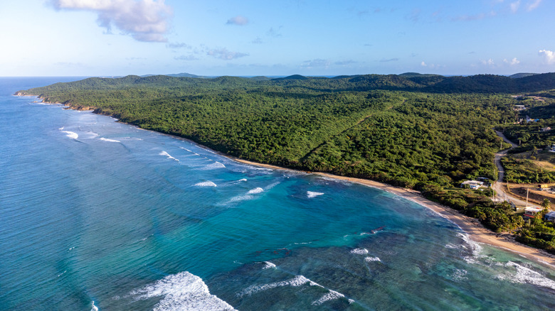 Vieques, Puerto Rico's shoreline shows crystal blue waters during the day.