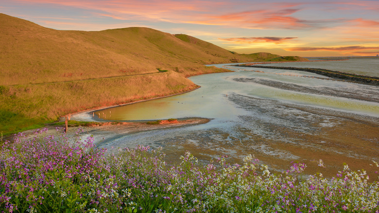 sunset view at Coyote Hills Regional Park Fremont, California