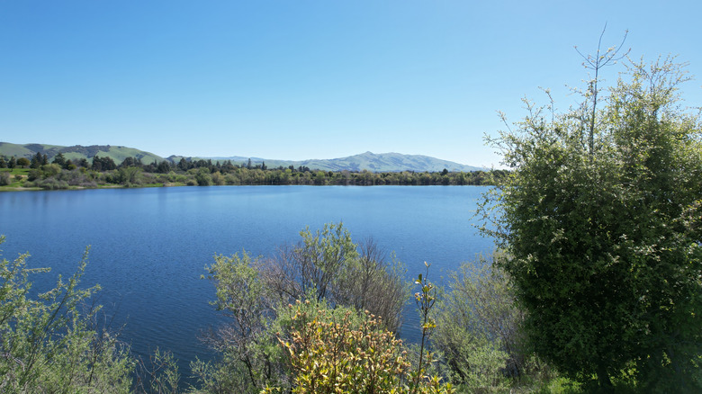 beautiful river view at quarry lake Fremont, California