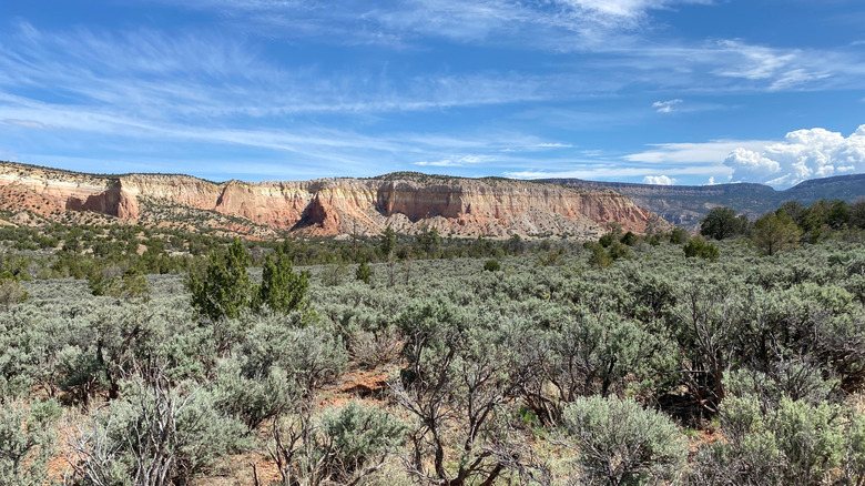 A desert scene along the Continental Divide Trail in New Mexico