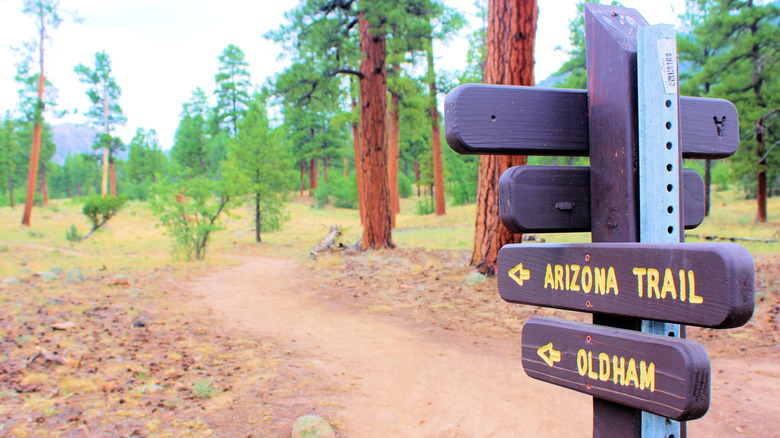 A trail sign along the Arizona Trail