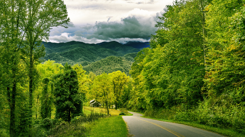 View of a mountain road to the Appalachian Mountains in Great Smoky Mountains National Park