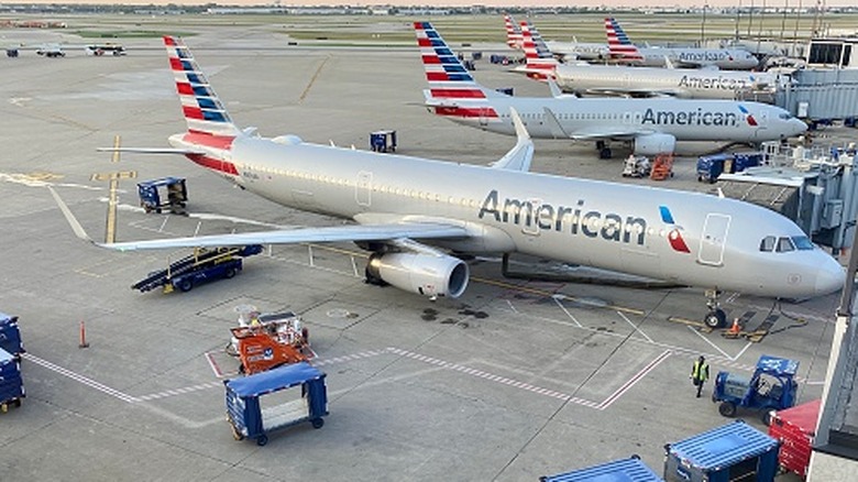 Several American Airlines planes parked at a terminal at an airport