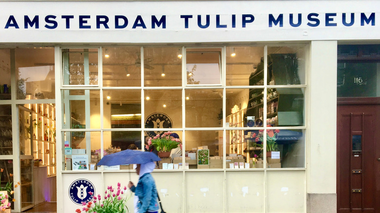 Exterior of the Amsterdam Tulip Museum