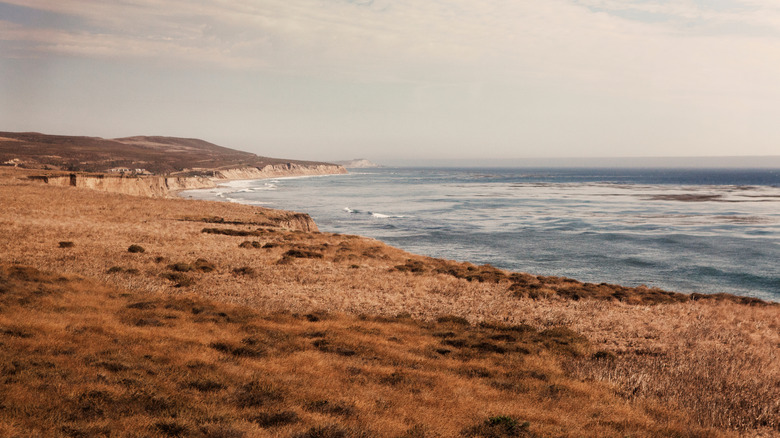 A view of the coast out the window along the Amtrak Coast Starlight