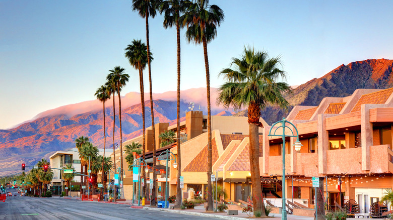Palm trees lining a street in Palm Springs, California, at sunset