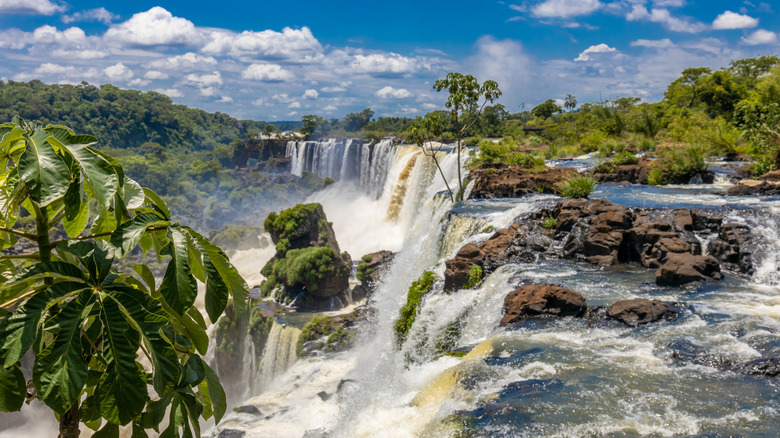 View of the Iguazu Falls straddling Brazil and Argentina on a sunny day with waterfall cataracts and tropical foliage