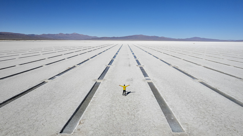 Drone view of a person with outstretched arms exploring salt flats in a sunny day, Salinas Grandes, Jujuy Province, Argentina