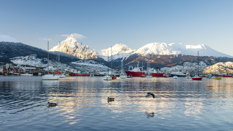 View of the Ushuaia waterfront with sailboats from the Beagle Channel at the southern tip of Argentina