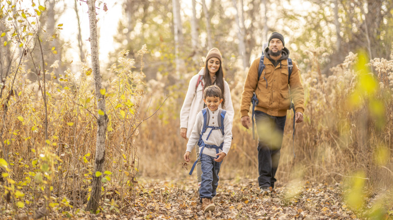 A young family of three are dressed warmly for a fall hike in the woods.