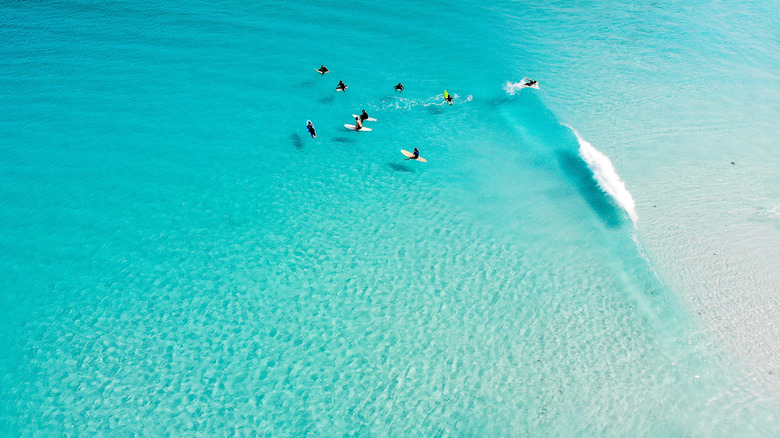 Aerial views of surfers waiting for a turquoise wave off Wharton Beach, Esperance, Australia
