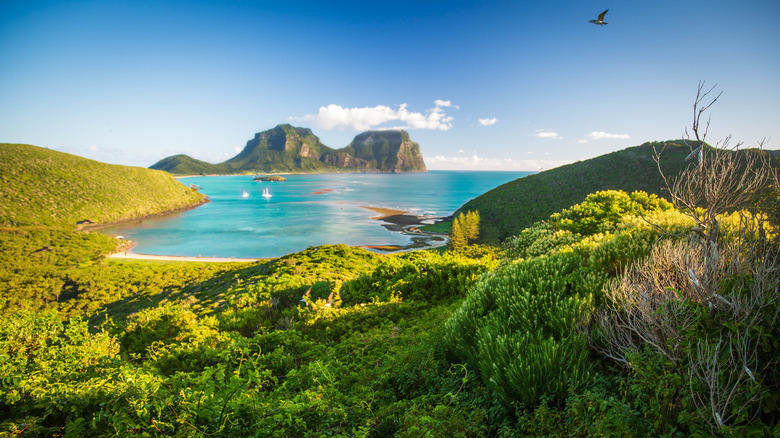 The mountains and shoreline of Lord Howe Island