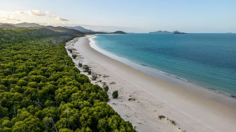 A sandy shoreline in the Whitsunday Islands
