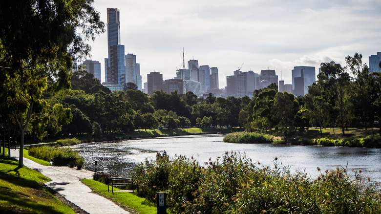 The skyline of Melbourne from the Royal Botanic Gardens Victoria