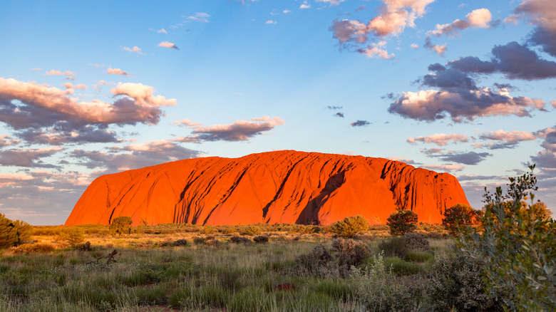 Uluru illuminated in the late afternoon at Uluru-Kata Tjuta National Park
