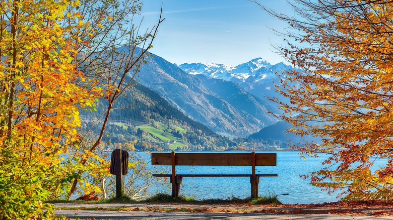 Amazing autumn view of lake, colorful trees, and mountains in city park in picturesque Zell am See, Austria