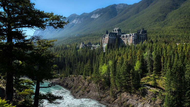 The historic Fairmont Banff Springs Hotel set against the backdrop of dense evergreen forest and rugged mountain slopes.