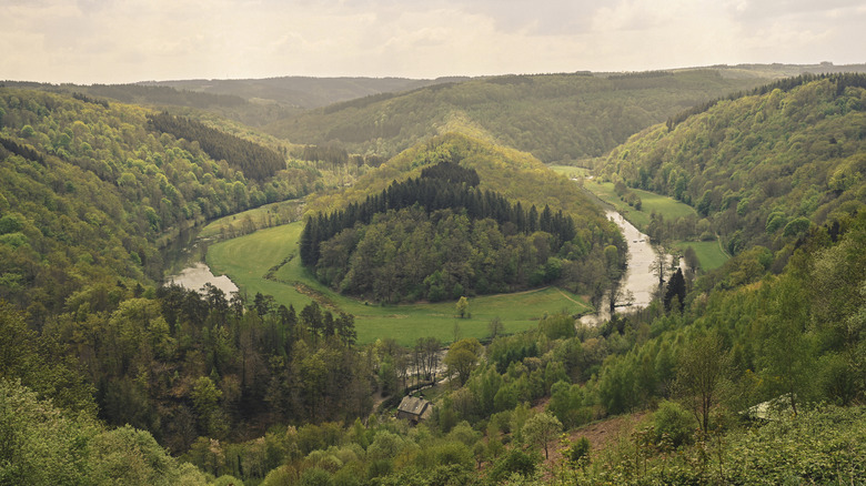 A high-elevation view of the winding Semois River
