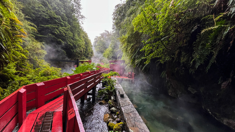 Red pathways traverse past thermal pools in a lush canyon at Termas Geométricas, Chile