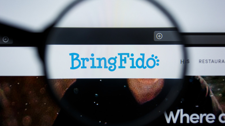 A magnifying glass held over the logo for BringFido