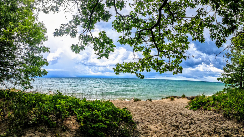 A secluded view through the trees of a beach at Illinois Beach State Park