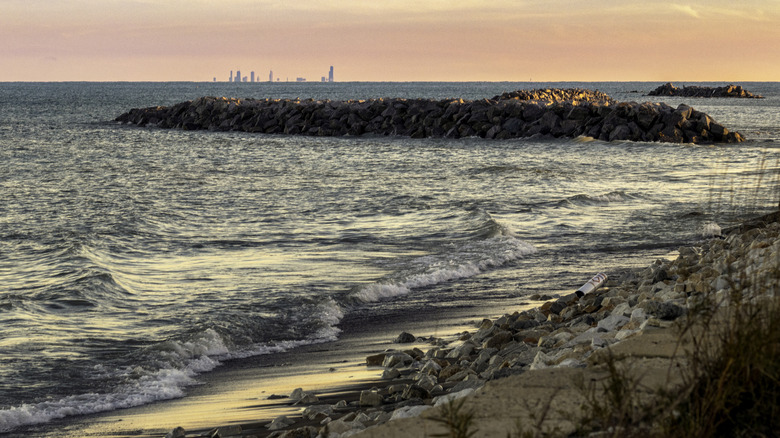 The Chicago Skyline in the distance from Illinois Beach State Park