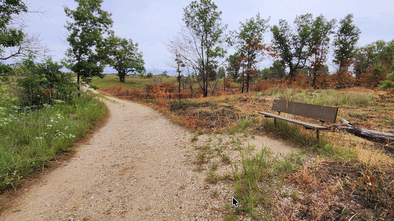 A bench and a trail near the nature center at Illinois Beach State Park