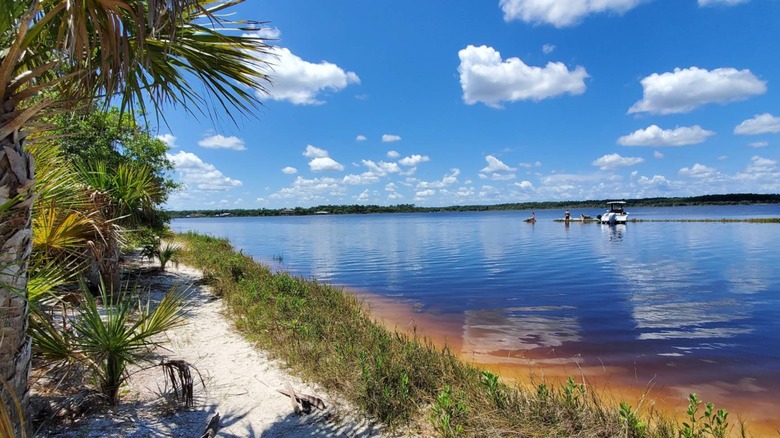 The scenery of Tomoka State Park, with blue water besides a grassy shore