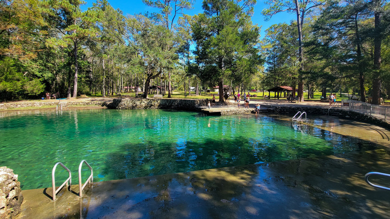 The waters of De Leon Springs State Park in Florida