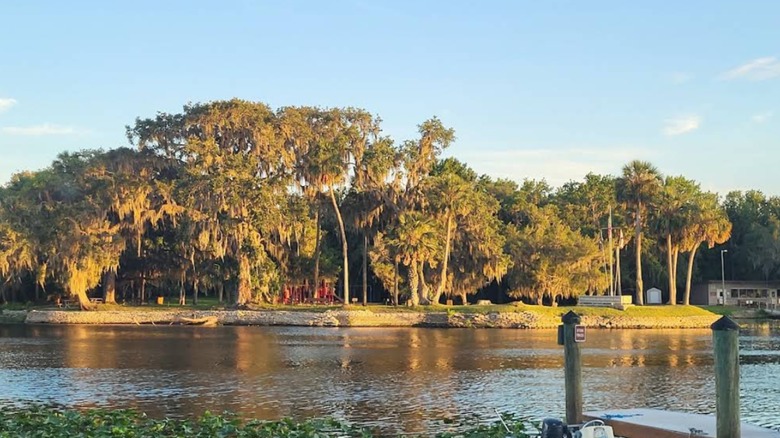 Scenery at Hontoon Island State Park in DeLand, Florida