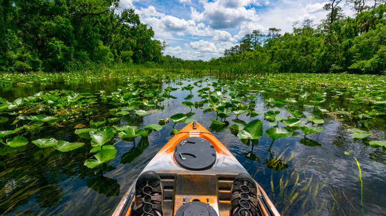 Kayaking through Alexander Springs in Ocala National Forest, Florida