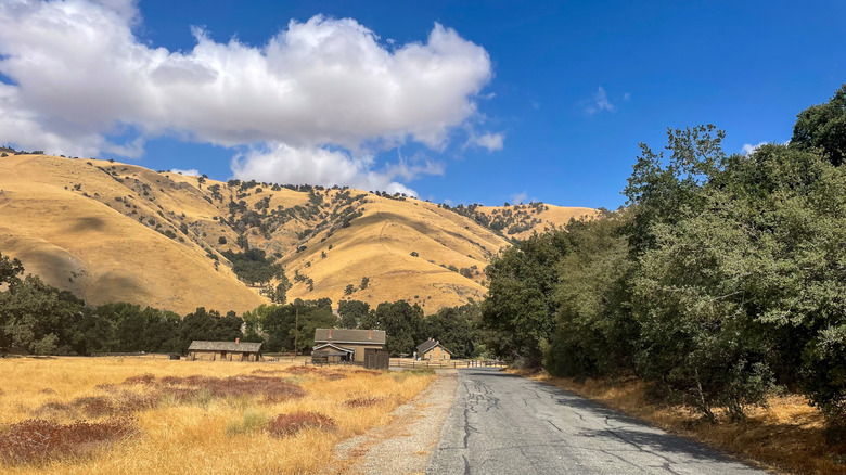 The road leading up to Fort Tejon State Historic Park