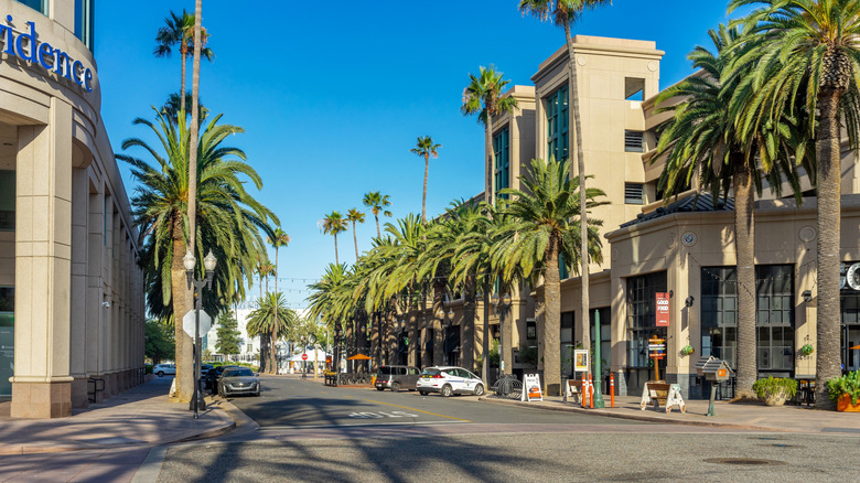 The promenade in Downtown Anaheim, California, lined with palm trees