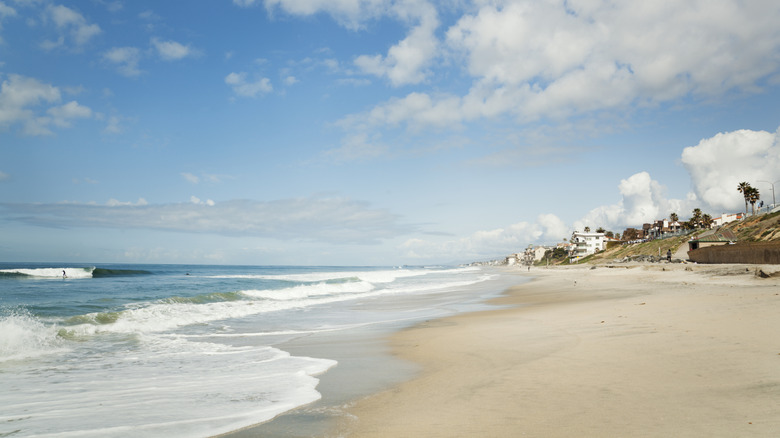 The sandy beaches of Carlsbad