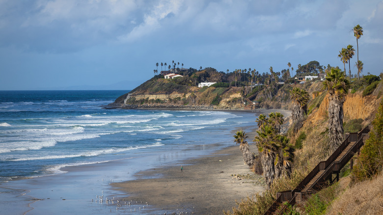 Chilly winter day on the cliffside of San Elijo State Beach near San Diego, California