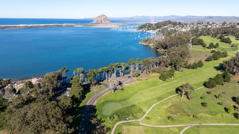 Aerial view of Morro Bay State Park with Morro Rock in the distance