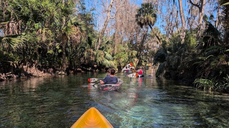 People kayaking in the waters of Silver Springs State Park