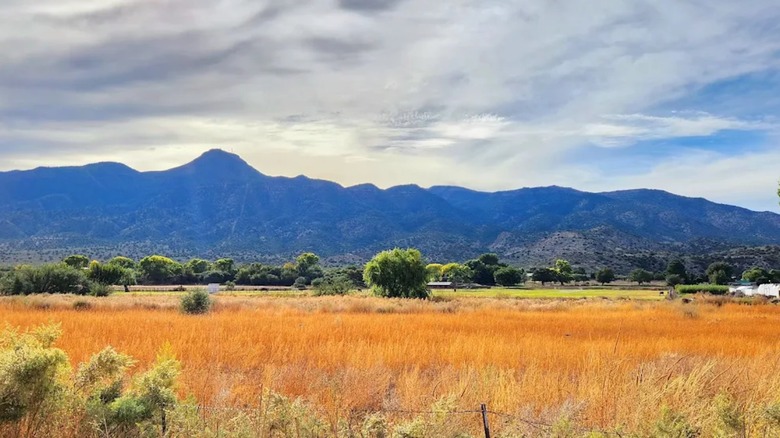 A golden meadow with mountains in shadow overlooking it on a cloudy day at Rockin' River Ranch State Park in Arizona