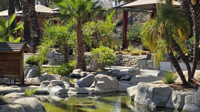Murrieta Hot Springs in Murrieta, California