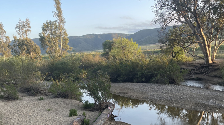 Sykes Ranch Park in Murrieta, California, with trees and hills in the background