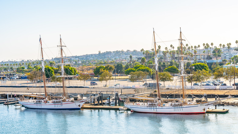 Yachts docked along the harbor in San Pedro, California
