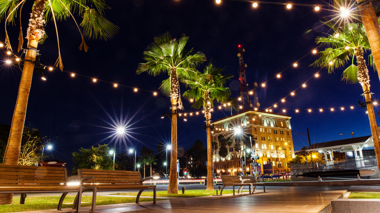 The San Pedro waterfront and City Hall building at night
