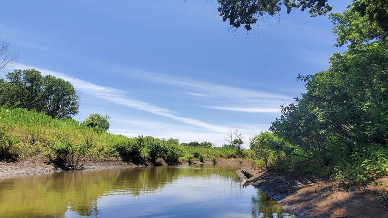 A photo of a tree- and grass-lined bay on Kaw Lake