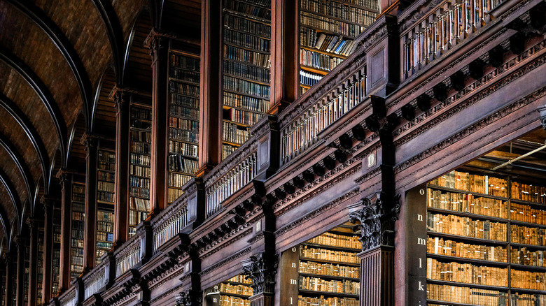 interior of  a beautiful wooden library