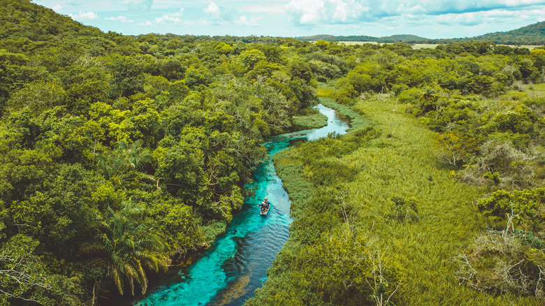 Aerial view of the Sucuri River in Bonito, Mato Grosso do Sul