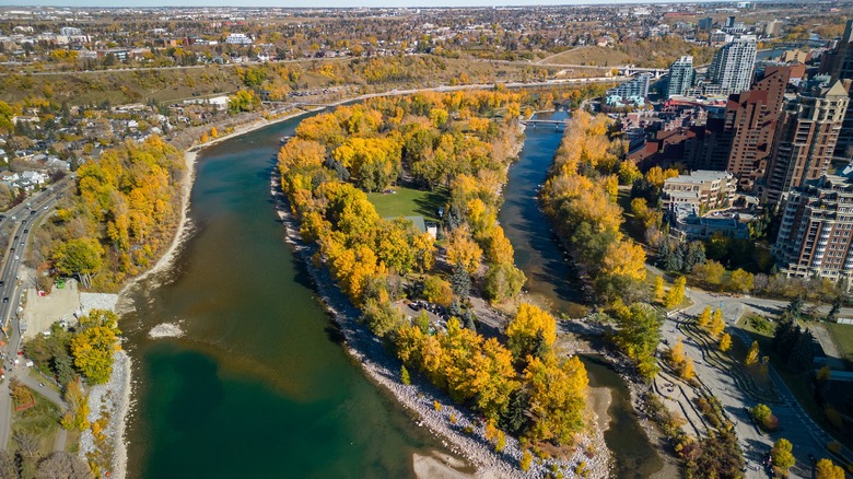 An aerial view of Prince's Island Park in the fall