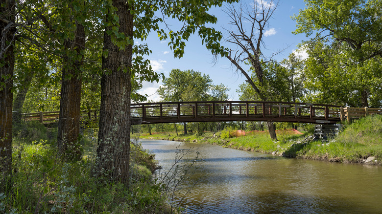 A bridge in Fish Creek Provincial Park, Calgary