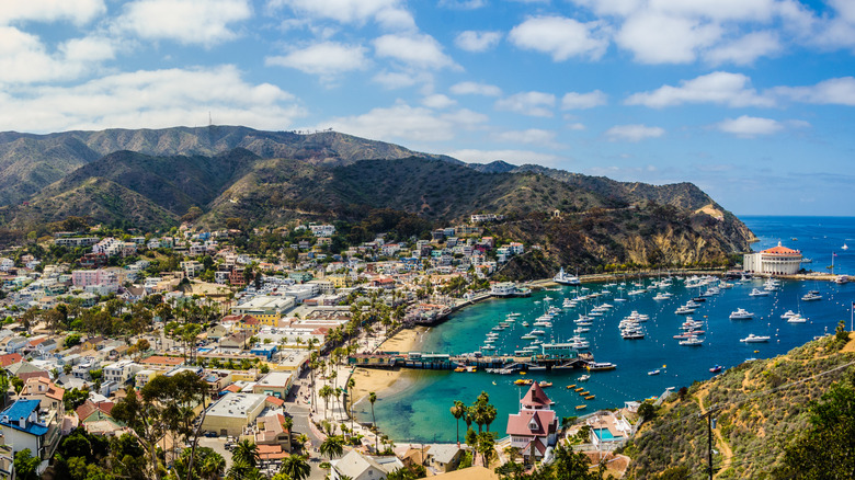 Avalon harbor on Catalina Island, California